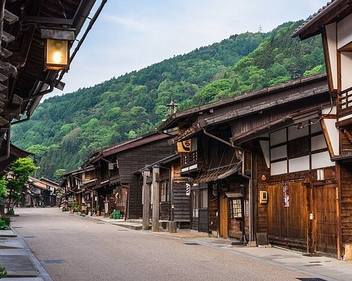 🌸 코스모스 로드 이미지 4